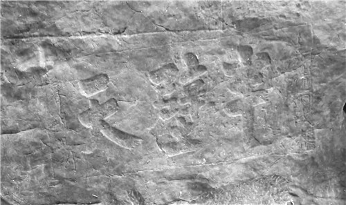 1673653254744089.jpg 453998_wenjx_1673615811140.jpg